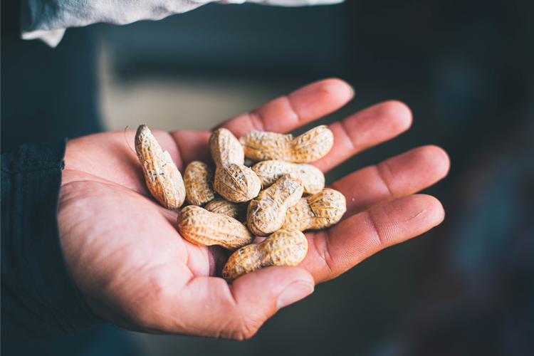 Tennessee Peanut Raw In-shell (For Boiled Peanuts)